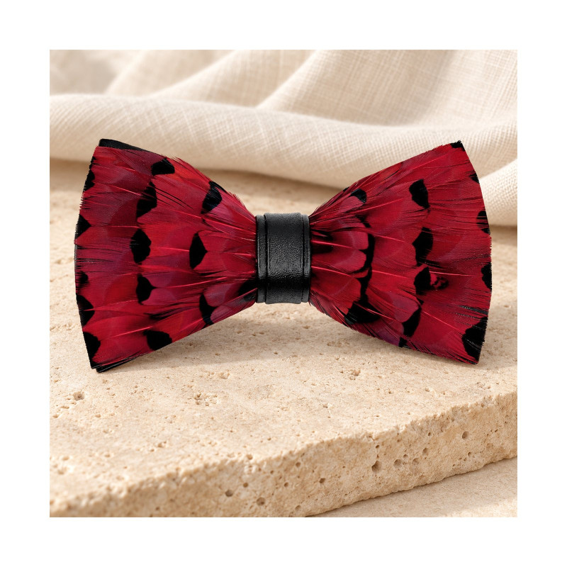 Noeud papillon en plume : Canard Rouge