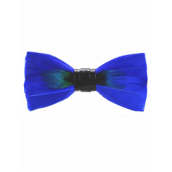Noeud papillon en plume : Paon bleu