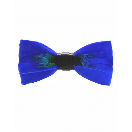 Noeud papillon en plume : Paon bleu